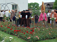 Reger Andrang im Rosen-Sortimentsgarten an den Nöggenschwieler Rosentagen 2008